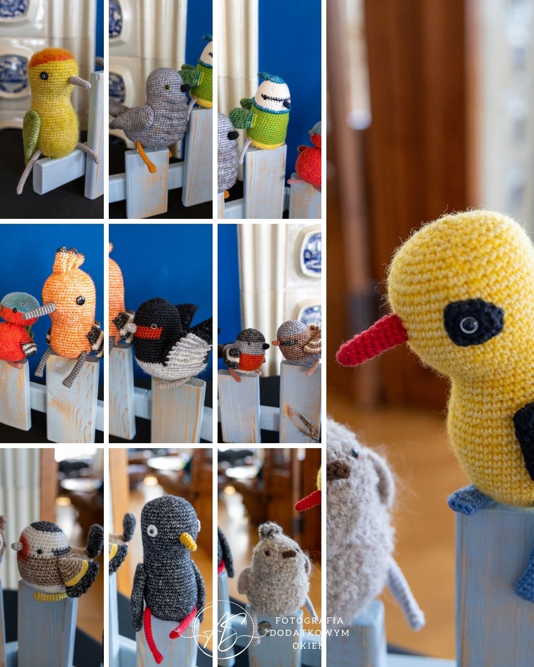 Fotografia Dodatkowym Okiem portfolio eventowe event wydarzenie ogólnopolskie splotfest reportaż fotorelacja targi konkurs festiwal lokalne